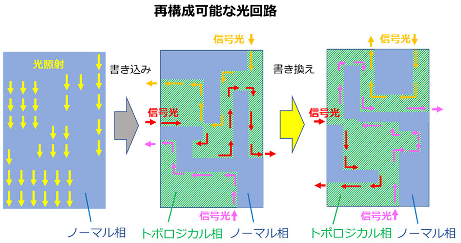 図6：光トポロジカル相転移を利用して将来的に実現が期待できる再構成可能な光回路の概念図