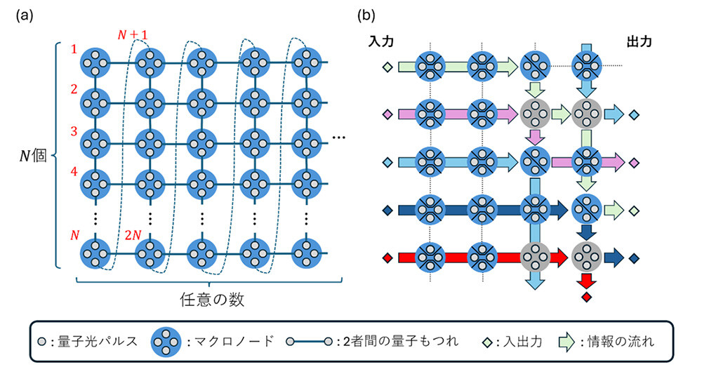 図3　時間領域で多重化された量子もつれとそれを用いた量子計算　（a）マクロノードを並び替えると、量子もつれが時間的に格子状に広がっている（多重化されている）ことが分かる。これが量子コンピュータの計算のリソースになる。量子もつれのサイズ、すなわち計算のリソースは、時間をかければかけるほど大きくなる。（b）各マクロノードに対してテレポーテーションベースの量子操作を行うことで、多入力に対して多段階の量子操作を実行する。