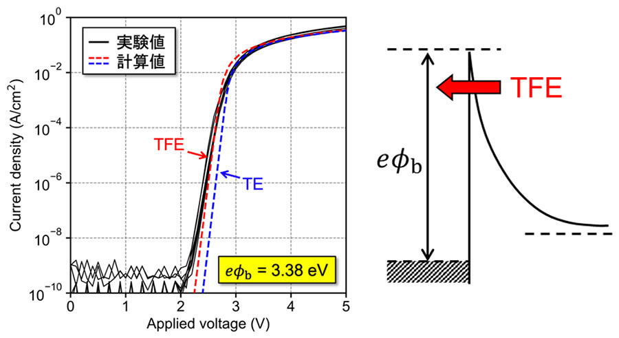 図2：AlN系SBDの順方向電流-電圧特性 実線は実験値、点線は計算値。青色が熱電子放出（TE）、赤色がトンネル効果を考慮した熱電子電界放出（TFE）。容量特性から得た障壁高さ（eΦb）とほぼ同様の値を用いることで実験値と計算値が良く一致し、本研究で用いたAlN系SBDにおける電流輸送機構がTFEであることを解明。