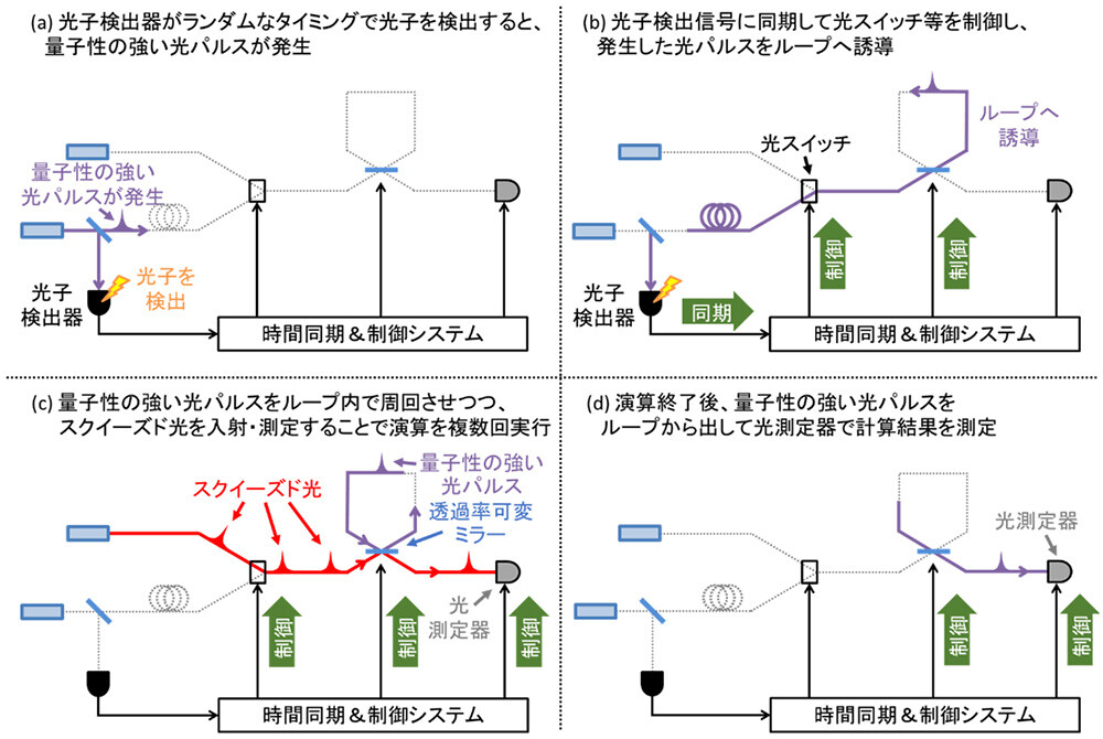 図3：量子性の強い光パルスに対して演算を実行する場合の手順 今量子性の強い光パルスが発生したら(a)、それに同期して光パルスをループ内へと誘導して(b)周回させる。そこに補助的なスクイーズド光を入射・測定することで繰り返し演算処理を行い(c)、最後に演算後の光パルスを測定器へと送って計算結果を測定する(d)。光パルスがループ内で周回するか、光測定器へと送られるかは、透過率可変ミラーで制御する。