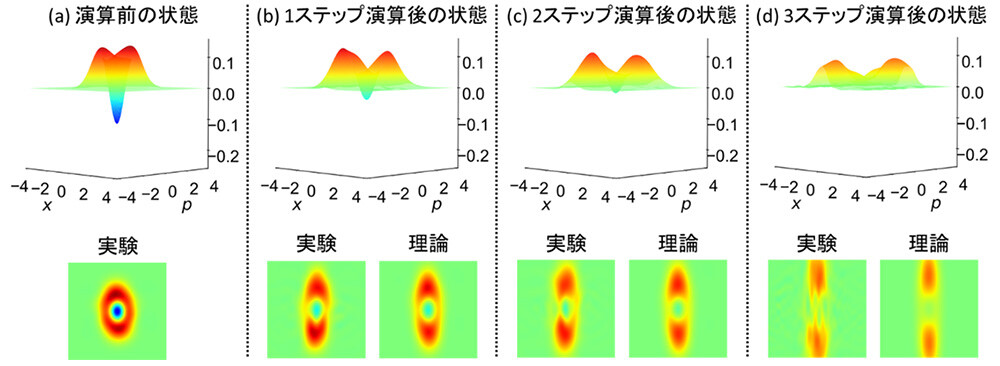 図4：量子性の強い光パルスに3ステップ演算を行った実験結果の一例 演算が期待通り実行されたかどうかを評価するため、演算の前と後の光パルスそれぞれに対して、光の振幅と位相の疑似確率分布を表すWigner関数を測定し、3次元プロットとして示した（xとpが振幅と位相、縦軸が確率に相当）。Wigner関数の負の領域はその光の状態の強い量子性を表しており、2ステップ演算後にも負の領域が残っていることから、演算が高い精度で行われていることがわかる。下の図はWigner関数を上方から見た2次元プロットであり、実験結果とシステムの不完全性を考慮に入れた理論予測を示している。ここで行っているスクイージング演算では、横方向（x方向）成分を小さく減衰させ、縦方向（p方向）成分を大きく増幅する演算で、期待通りWigner関数が変化しているとともに、実験結果と理論予測がよく一致していることがわかる。