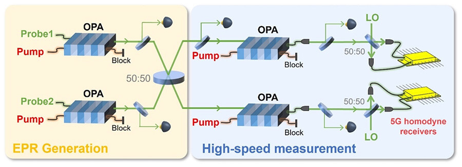 図2：実験系 左側は光量子もつれの生成システムを、右側は高速測定システムを表す。量子もつれ状態生成および位相敏感増幅はポンプ光と導波路OPAの相互作用によって実現され、プローブ光は実験系の位相制御に用いられる。量子もつれ状態は5Gホモダイン測定器で検証される。