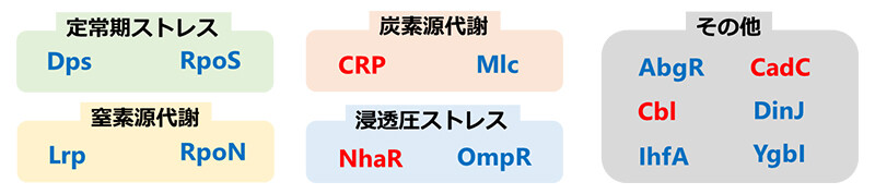 図5. 特定した遺伝子の微生物における機能分類