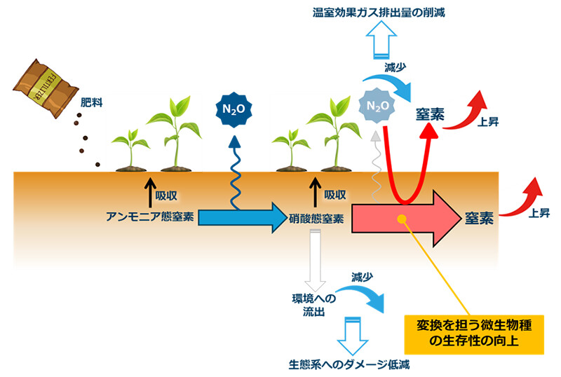 図6. 本基盤技術を活用した今後の展開の一例