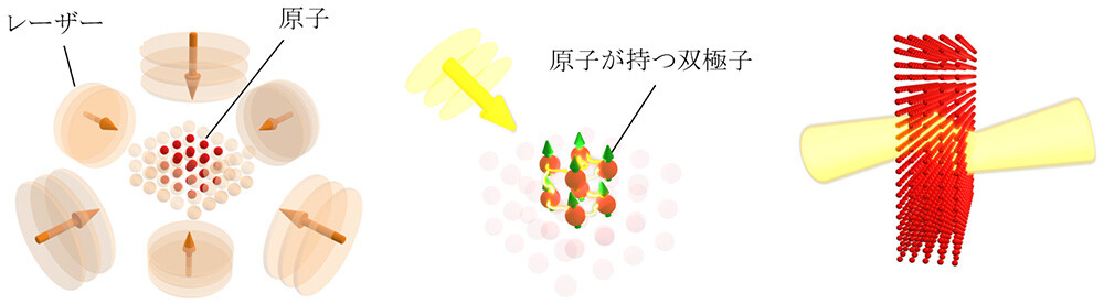 図2: 原子媒質を用いた光の負の屈折現象の実現 （左）交差するレーザーは周期的な光のパターンを作り出し、原子を閉じ込めて、原子の構造化された格子を形成する。（中）レーザーを照射すると、近接した原子同士が光の双極子放出と吸収を介して強く相互作用し、集団的な応答を引き起こす。（右）これらの互いに相互作用する原子からの放射により、原子格子で光の負の屈折が生じる。