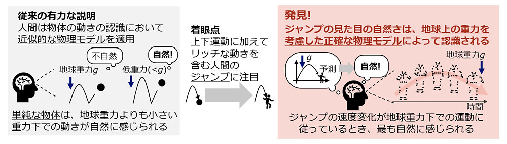 本研究成果の概要