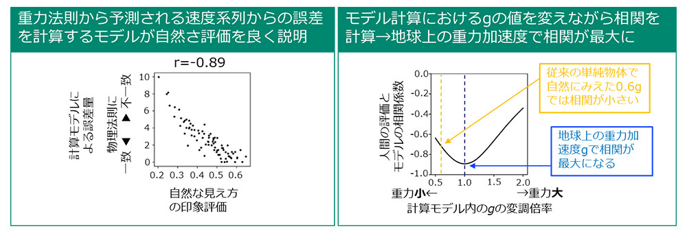 図3　（左）計算モデルによる地球上の重力の法則から予測されるジャンプとの誤差と、実験参加者による自然な見え方の印象評価の間には高い相関がある。（右）計算モデルにおいて地球上の重力加速度値を用いたときに、実験参加者による自然さ評価との相関が最も高くなる。