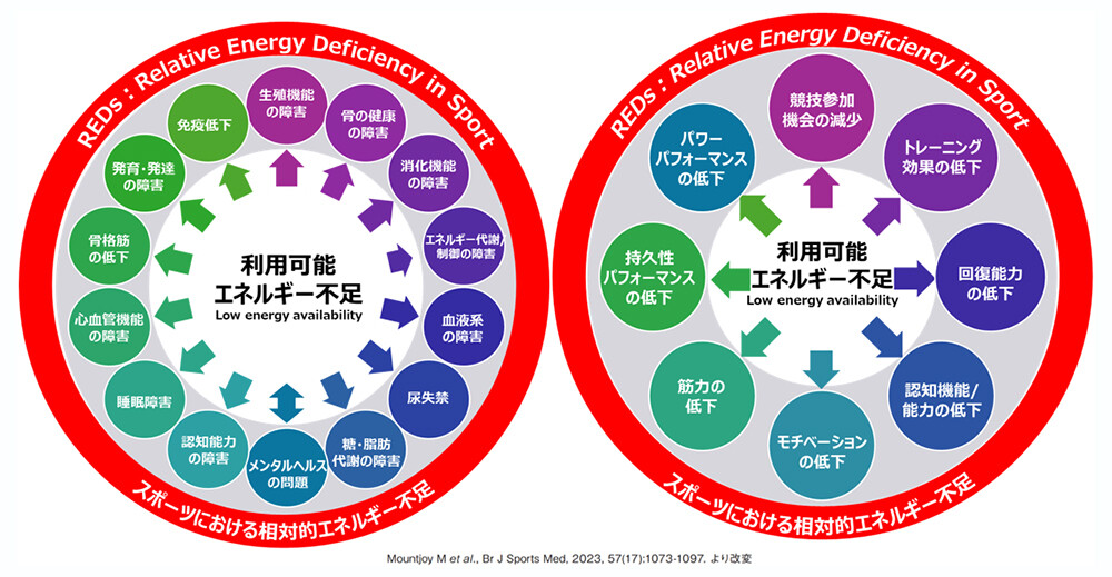 相対的エネルギー不足（REDs: Relative Energy Deficiency in Sport）のイメージ