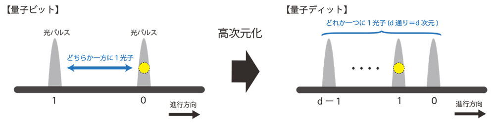 図1：単一光子を用いた量子ビットと量子ディットの比較。異なるタイミングで進行する複数の光パルスのどれに1光子が存在するかで量子的な情報を表します。量子ビットでは0と1の二通りの状態からなる二次元的重ね合わせ状態を考えるのに対し、量子ディットでは0, 1, 2, ...とより多くの状態からなる高次元的重ね合わせ状態を考えます。
