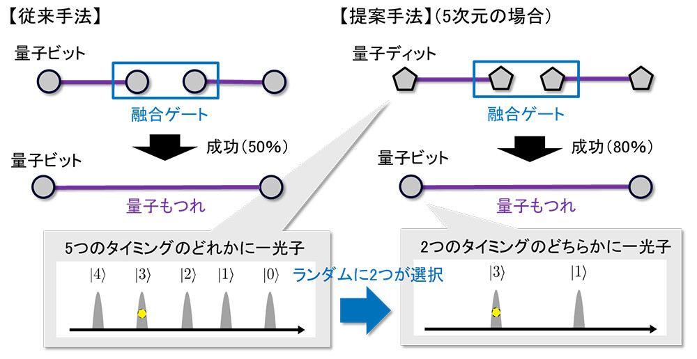 図3：従来の融合ゲートと今回提案した融合ゲートの比較。今回提案した融合ゲートでは、入力される量子ディットには光子が存在しうるタイミングが3通り以上（図では5通り）存在するのに対し、出力時にはランダムに2つのタイミングが選択されることで量子ビット的な状態になります。複数のタイミングのうちのどの2つが選ばれたとしても融合ゲートとしては成功になるため、光子が存在しうるタイミングの数（つまり、量子ディットの次元）を大きくすることで、成功率が向上できます。）