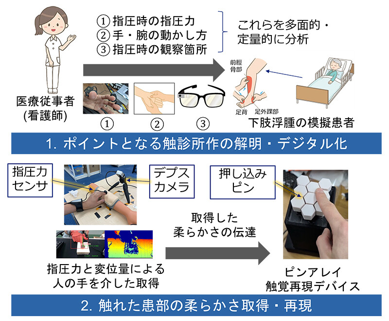 図1 本共同研究での実施内容。