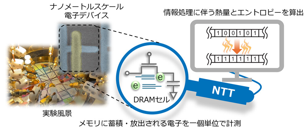 図1： 本研究の概要図。