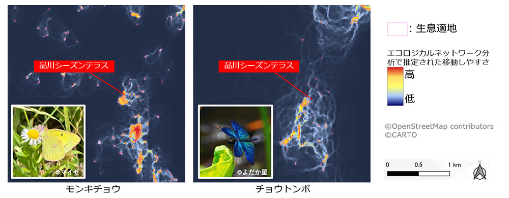 【図1】種ごとのエコロジカルネットワーク分析（モンキチョウ、チョウトンボ）