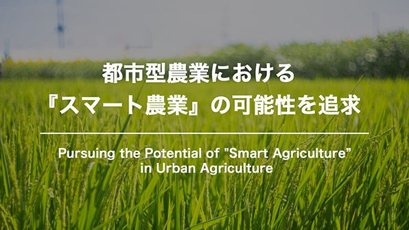 ”IoTと稲作効率化による持続可能な農業の実現”のイメージ画像 / Image of ”Achieving Sustainable Agriculture through IoT and Rice Efficiency”