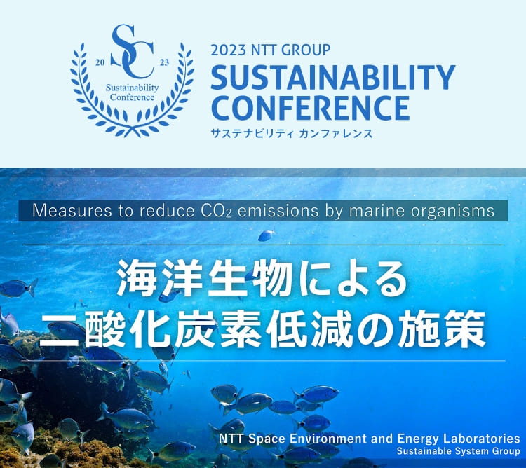 海洋生物による二酸化炭素低減の施策”のイメージ画像 / Image of ”Measures to reduce CO2 emissions by marine organisms”