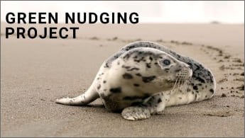 ”Green Nudging”のイメージ画像