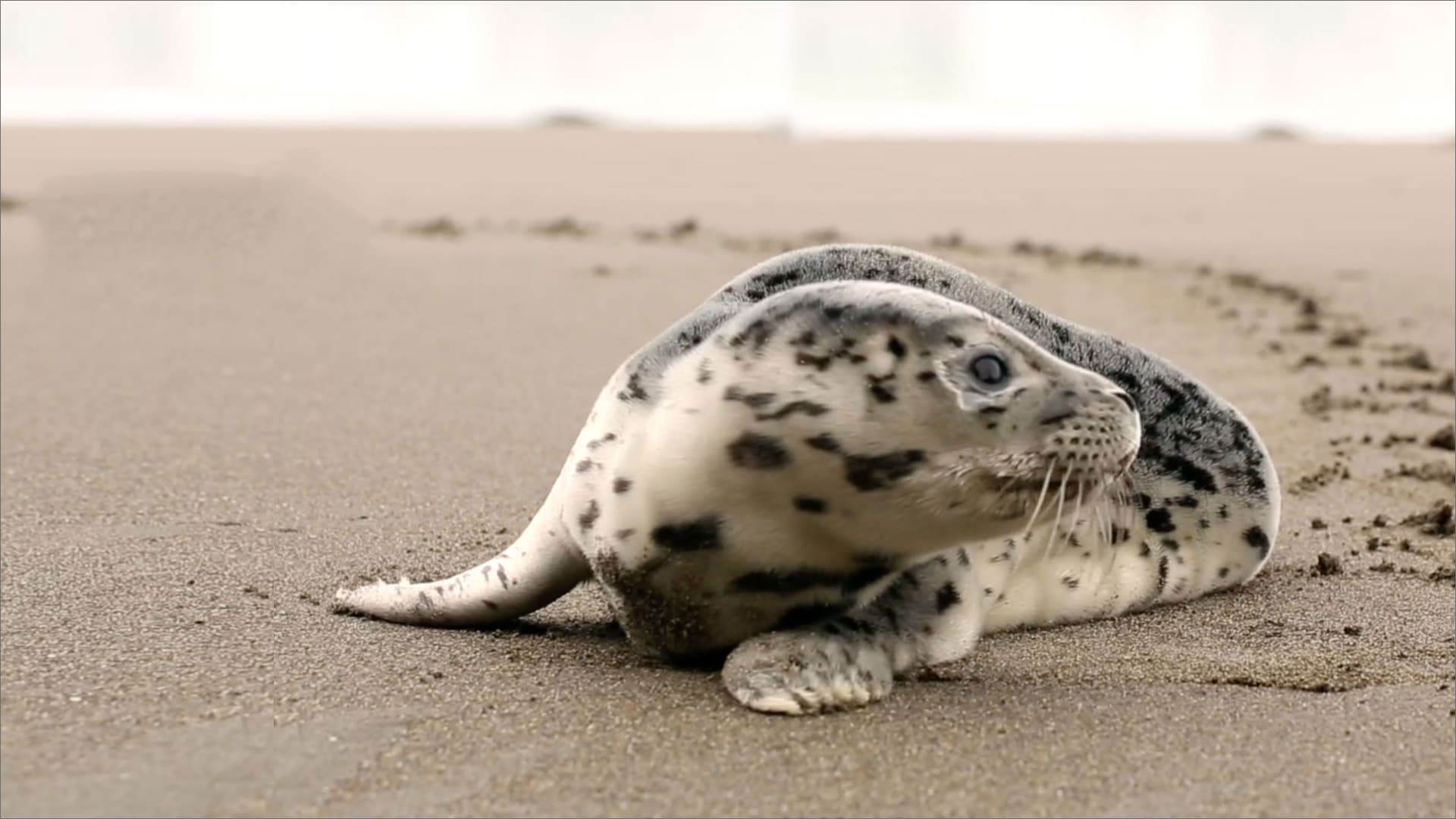 “Green Nudging“のイメージ画像