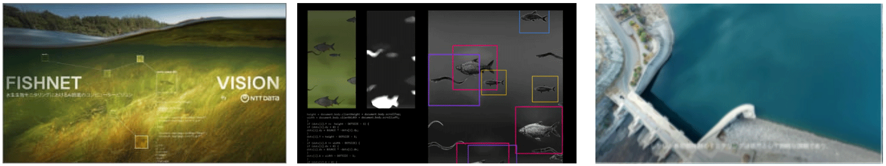 画像：（2） NTT DATA Portgal（ポルトガル） 水生生物モニタリングにおけるAI搭載のコンピュータービジョン ～AIを活用したダム内魚道の環境調査精度の改善～