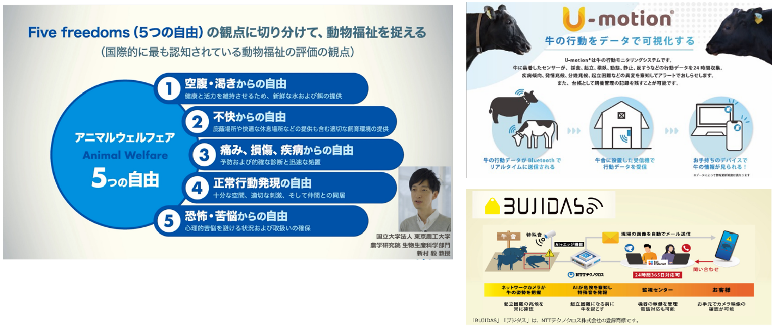 画像：（1） NTTテクノクロス アニマルウェルフェアとAIが拓く畜産業の未来