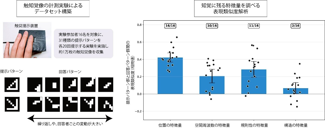 図1：さまざまな空間パターンを指先に提示し、そのときに感じた形をマス目上に描いて回答してもらうことで、触知覚像を取得した。同じパターンに触れた場合でも回答は試行ごとに大きく変化し、個人間にも大きな違いが見られた。さらに、提示パターンと回答パターンについて、位置、空間周波数、規則性、構造などの特徴やパターン間の類似関係を解析することで、触覚で伝わりやすい情報と失われやすい情報を定量化した。その結果、おおまかな位置や広がり、粗密や規則性などは比較的保たれる一方、精密な輪郭や複雑な幾何学的形状は伝わりにくいことが示された。